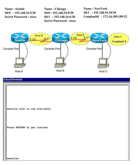 300-101 dumps